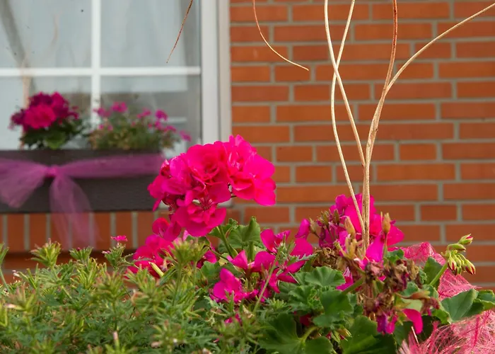 Hotel Friedrichsfehn Edewecht